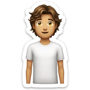 Adolescent homme de 15 ans métisse avec des cheveux bruns mi long mi court  sticker