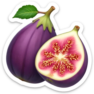 Fig sticker