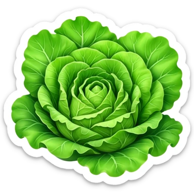 Cinematic crisp green lettuce, fresh and leafy, slightly curled edges, detailed textures, vibrant and refreshing, ultra-realistic and inviting. sticker