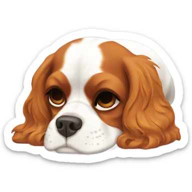a cavalier king charles spaniel curled up asleep sticker