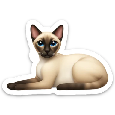 siamese cat laying down sticker