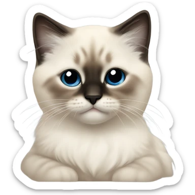 an entire birman kitten, small face, some spots of dark on the ears and middle of the face, laying down relaxed on a shoulder. sticker