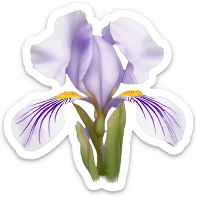Iris flower sticker