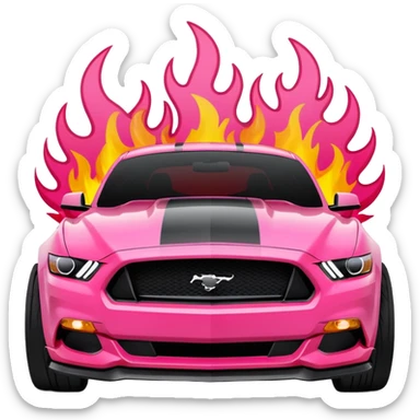 Ford Mustang with center black strip design and in written 309 and in front real pnky sticker