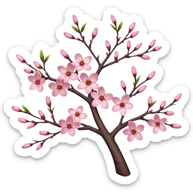 Realistic cherry blossom flowers, on a tree, high definition, realistic branches  sticker