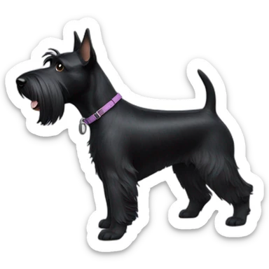 scottish-terrier-dog-walking sticker