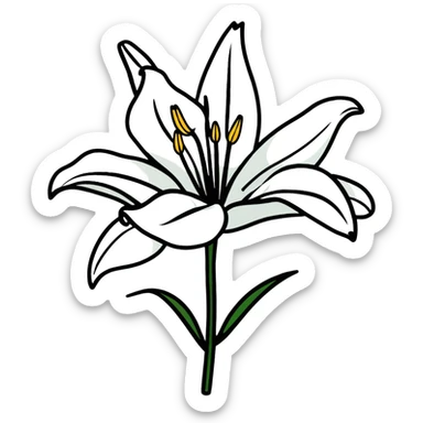 pure white lily flower in bloom sticker