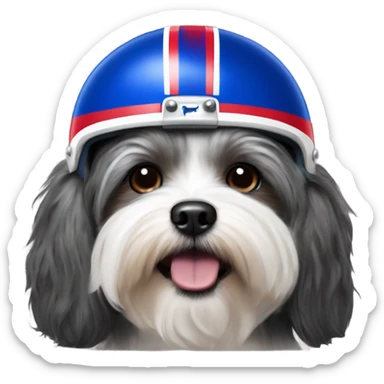 Havanese dog wearing a Buffalo Bills helmet  sticker