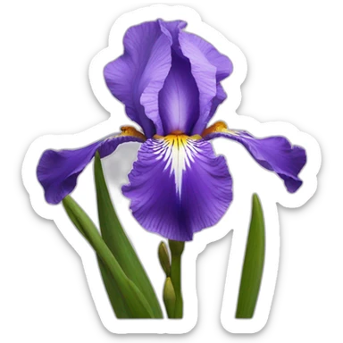 Iris flower sticker