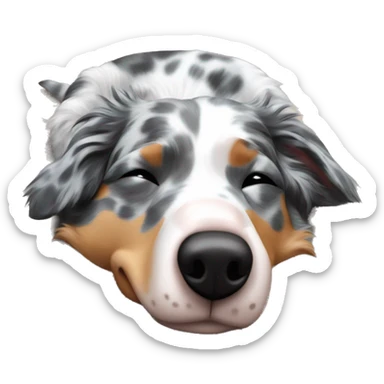 Blue Merle Australian shepherd sleeping on his back sticker