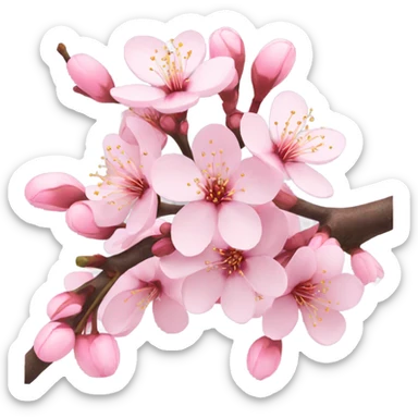 Cherry blossom sticker