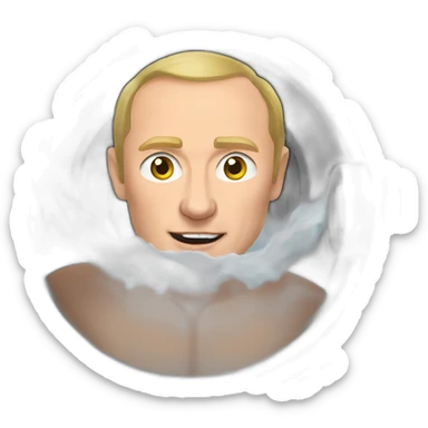 Putin inside washing machine sticker