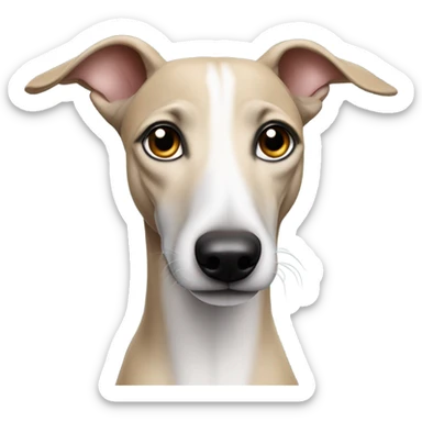 whippet with big wars sticker