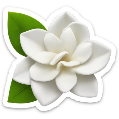 Gardenia flower  sticker