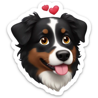 Small black australian shepherd dog with huge maroon heart sticker