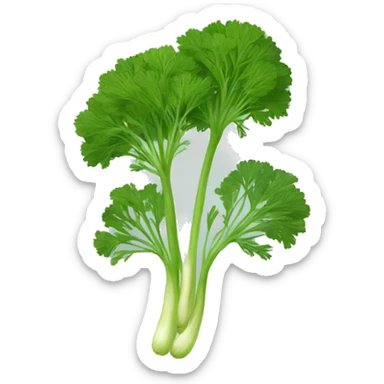 Dill sticker