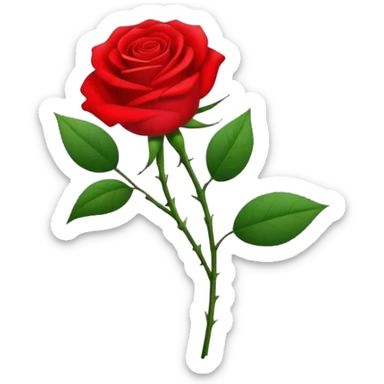 Socialist International with rose sticker