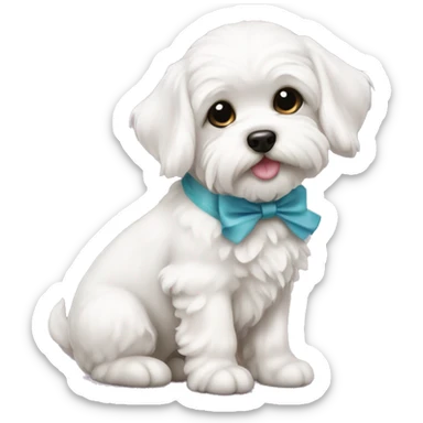 Schichon puppy with bow sticker