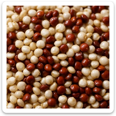 realistic close-up photo of shiny white and red quinoa seeds sticker