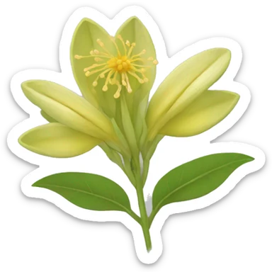Ashwagandha flower with greenish-yellow petals and a central yellow stamens emojis sticker