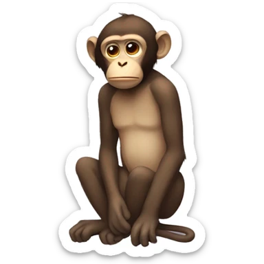Sad monkey  sticker
