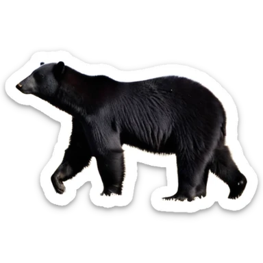 Siyah uzun saçlı siyah ceket  polar ceket ceket gevşek biraz omzundan çıkıyormuş gibi ve bugday ten rengi soltaraftaki omzundan çıkık sadece içinde de siyah crop var crop açık esmer esmer ceketin içinde siyah crop var be cropta omzuna bağlı ceketin sol üstü omzunun istinde sticker