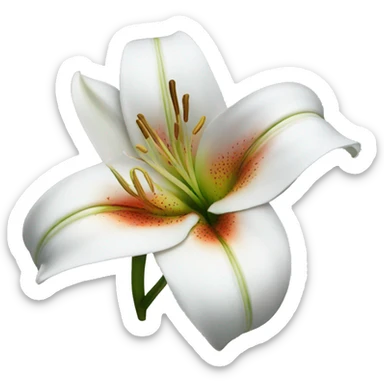 lily flower sticker