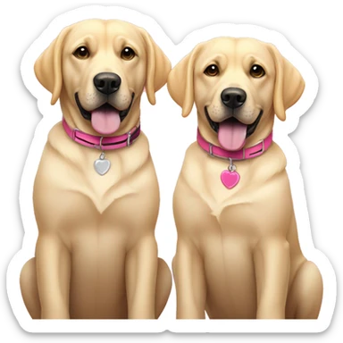 Two blonde labradors with pink collars sticker