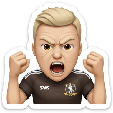 Swansea fan battering Cardiff fan sticker