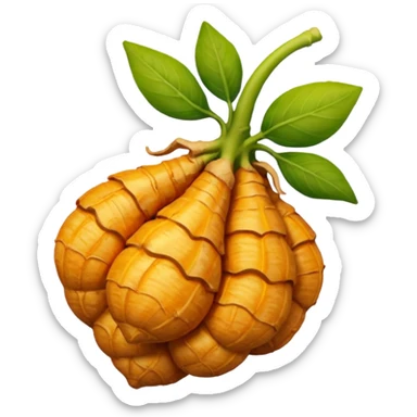 ginger vegetable sticker