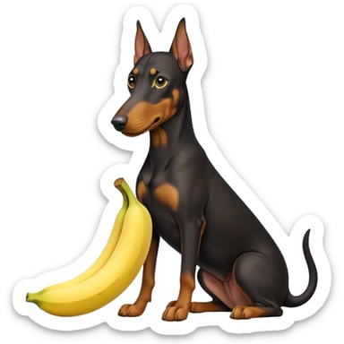 Doberman with banana sticker