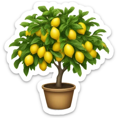 Lemon tree sticker