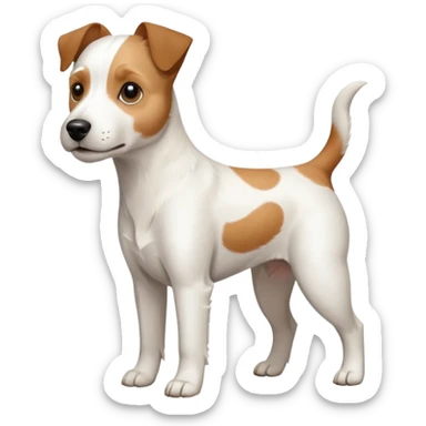 a full body white parson russell looking dog the size of a kelpie with light brown ears and a light brown patch on one eye and a large snout sticker