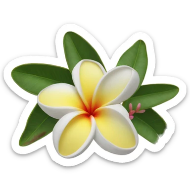 Frangipani ￼ sticker