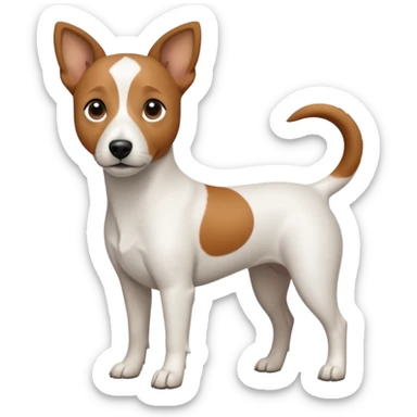 a fully white jack russell the size of a kelpie with light brown ears and a light brown patch on one eye sticker