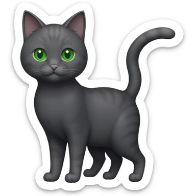 full body gorgeous solid dark grey cat with green eyes, white paws and white whiskers playing sticker