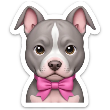 Grey pitbull with a pink bow sticker