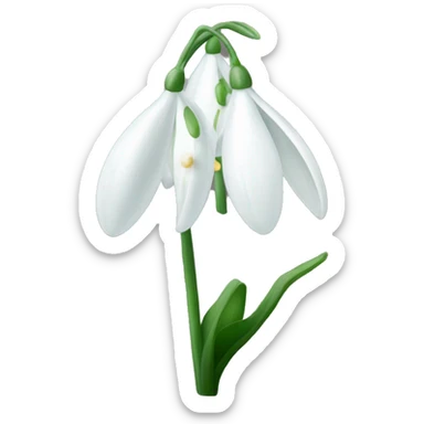 snowdrop sticker