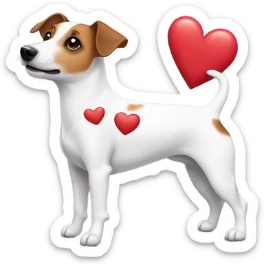 Jack Russell with hearts  sticker