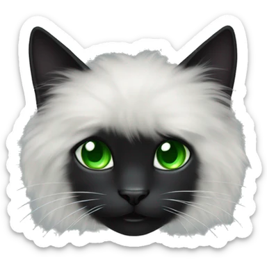 fluffy black cat with green eyes sticker