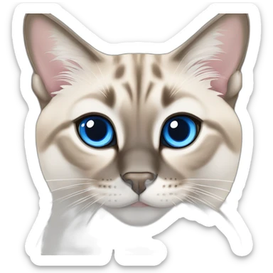 lynx-point-siamese-cat-blue-eyes sticker
