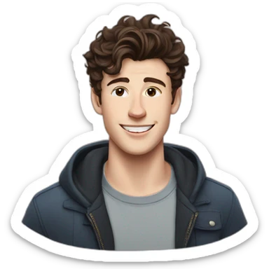 Shawn mendes sticker