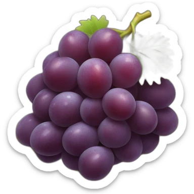 grapes fruit sticker