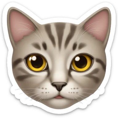 Cat with stars in its eyes sticker