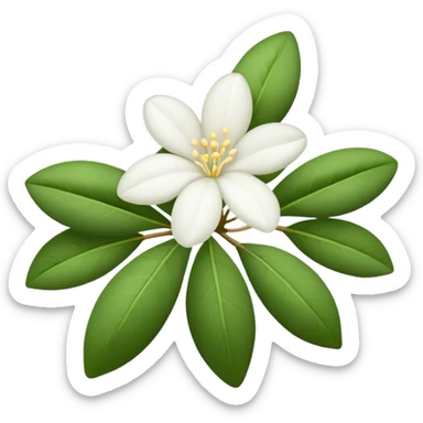 Night jasmine sticker