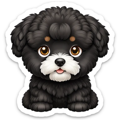 Black maltipoo dog with brown eyes  sticker