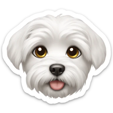 Maltese puppy  sticker