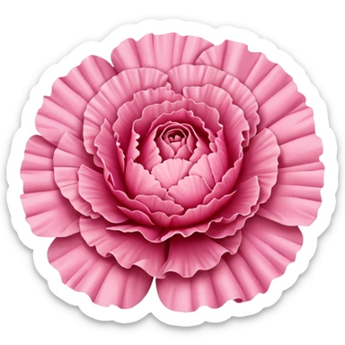 carnation sticker