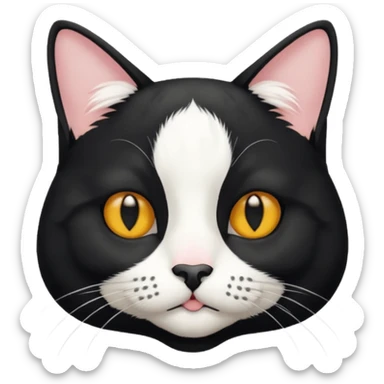A tuxedo cat, top half body, a black mark near his mouth under the nose sticker