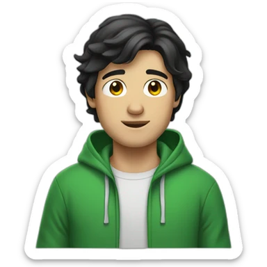 Black-haired white guy in green hoodie  sticker